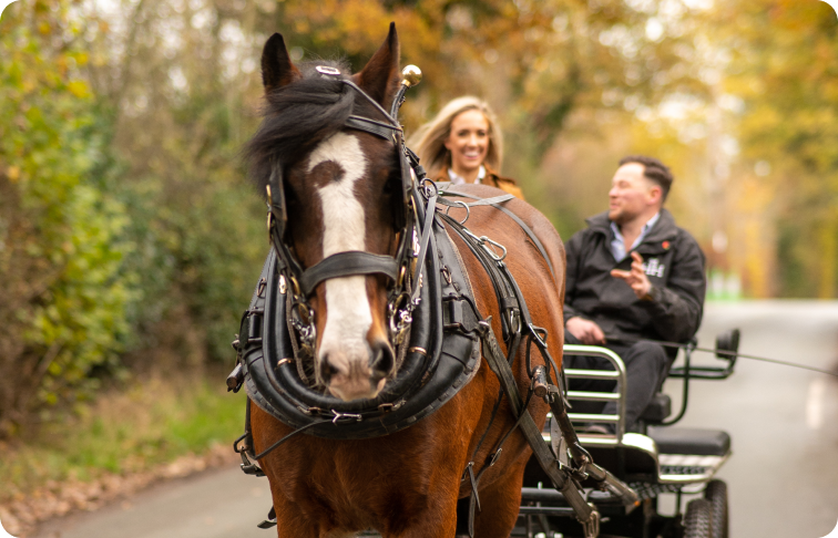 Carriage Ride and Refreshments